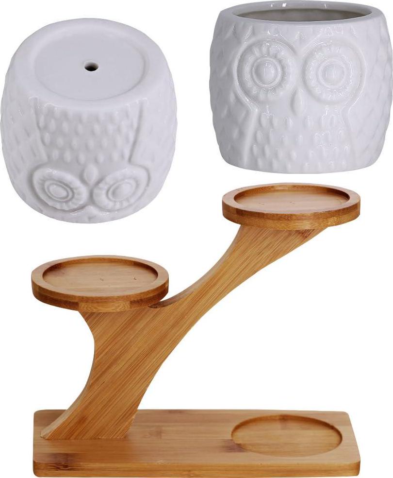 3pcs Owl Succulent Pots with 3 Tier Bamboo Saucers Stand Holder - White Modern Decorative Ceramic Flower Planter Plant Pot with Drainage - Home Office Desk Garden Mini Cactus Pot Indoor Decoration-