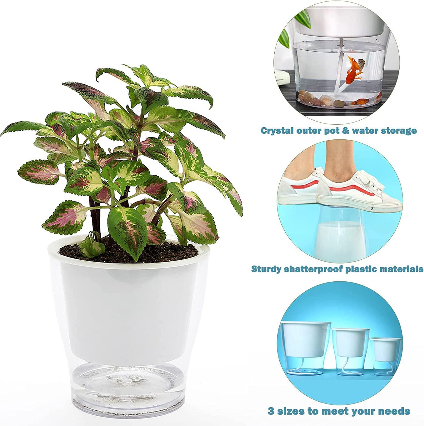 5-Pack 4.3 Inches Clear Self-watering Planters Small African Violet Pots Plastic Plant Pots Wicking Flower Pots for Indoor Plants, Herbs