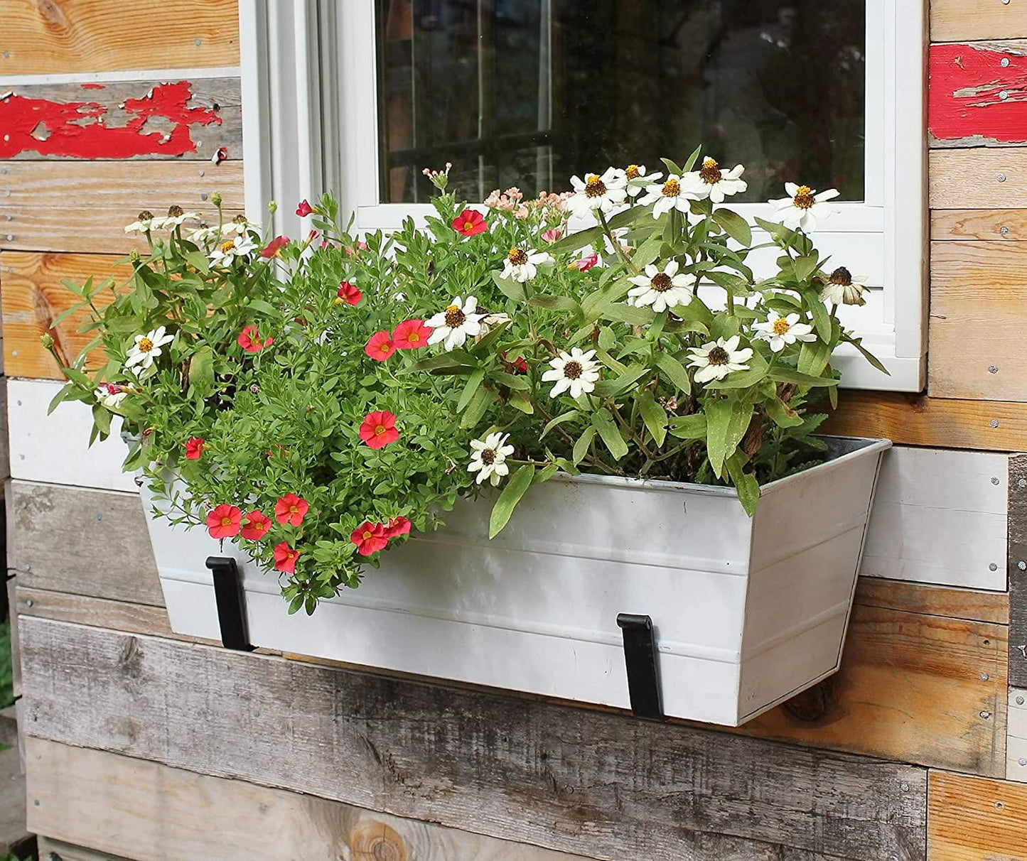 Achla Designs C-20W-WM Medium White Flower Wall Window Box with Brackets