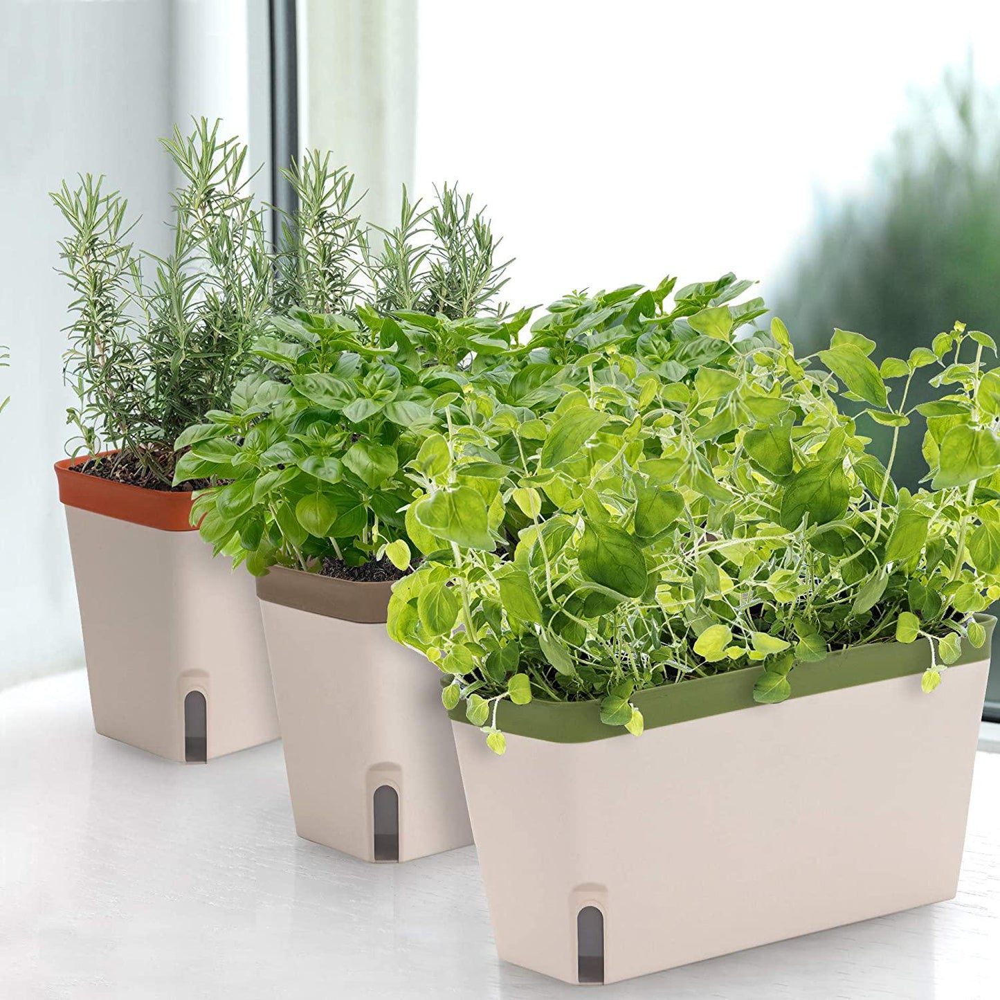 Amazing Creation Window Herb Planter Box Rectangular Self Watering Indoor Garden for Kitchens Grow Plants, Flowers or Succulents, Large Water Reservoir | Herb Pots 3 Pack