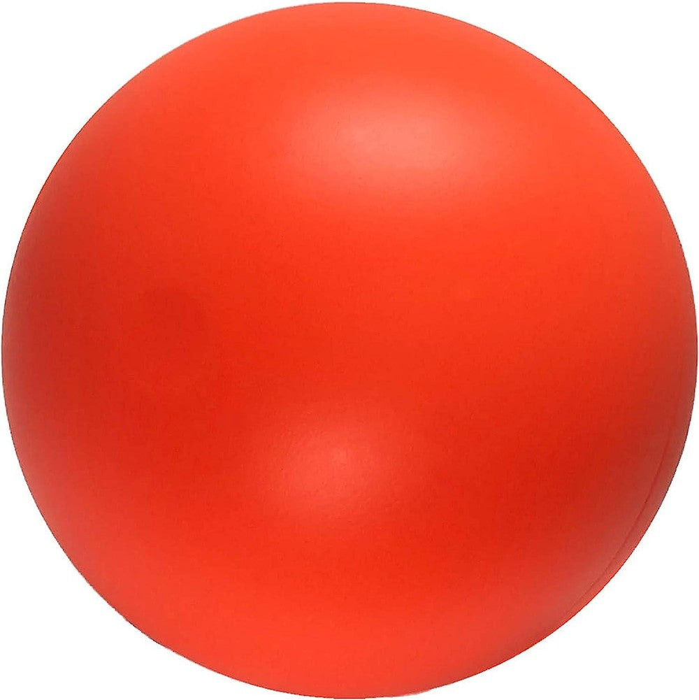 B00CIT99BC Virtually Indestructible Best Ball (hard plastic, colors may vary), All Breed Sizes-