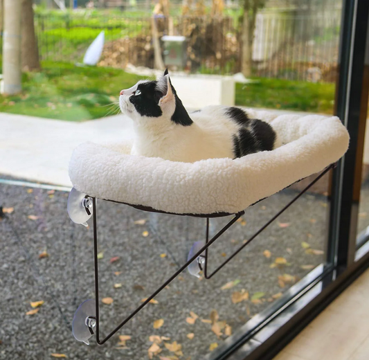 Cat Window Perch - 100% Metal Supported from Below-