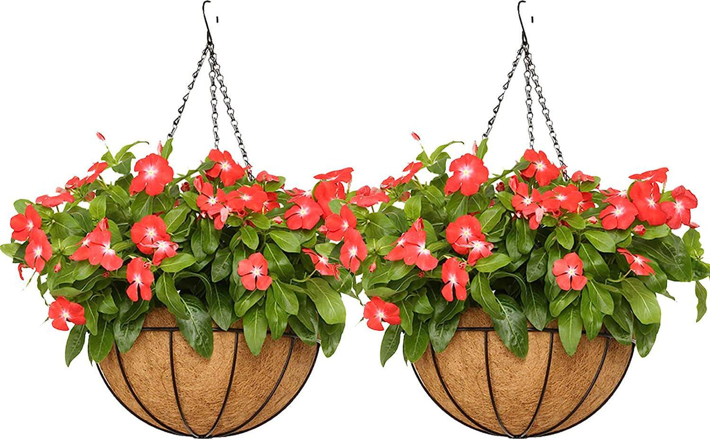 EIMQUVW Outdoor Metal Hanging Planters Basket (2pack, 8 inch) Hanging Baskets for Plants Chain Round Wire Plant Holder with Coco Fiber Liners for Garden, Patio, Deck, Porch-