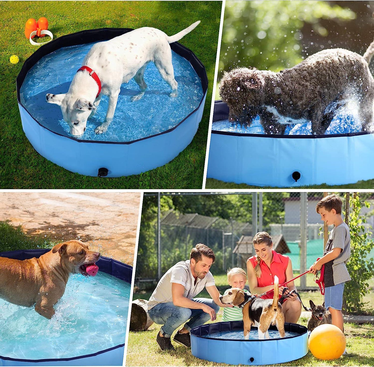 Foldable Kiddie Pool Hard Plastic Kids Pool, 31.4 x 12 , Portable PVC Dog Swimming Pool, Indoor and Outdoor Collapsible Pet Pool Bath Tub for Dogs, Cats and Kids - Medium and Blue