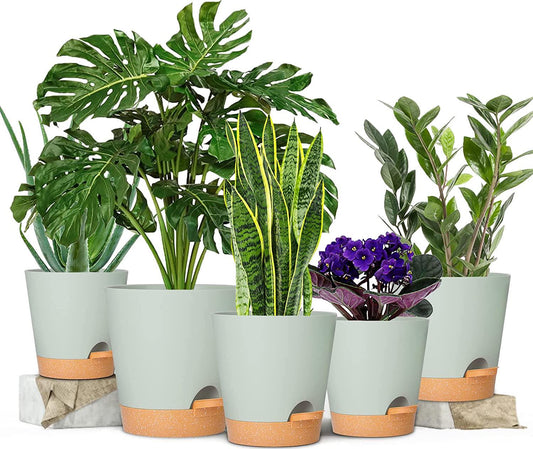 GARDIFE Plant Pots 7/6.5/6/5.5/5 Inch Self Watering Planters with Drainage Hole, Plastic Flower Pots, Nursery Planting Pot for All House Plants, African Violet, Flowers, and Cactus,Green-