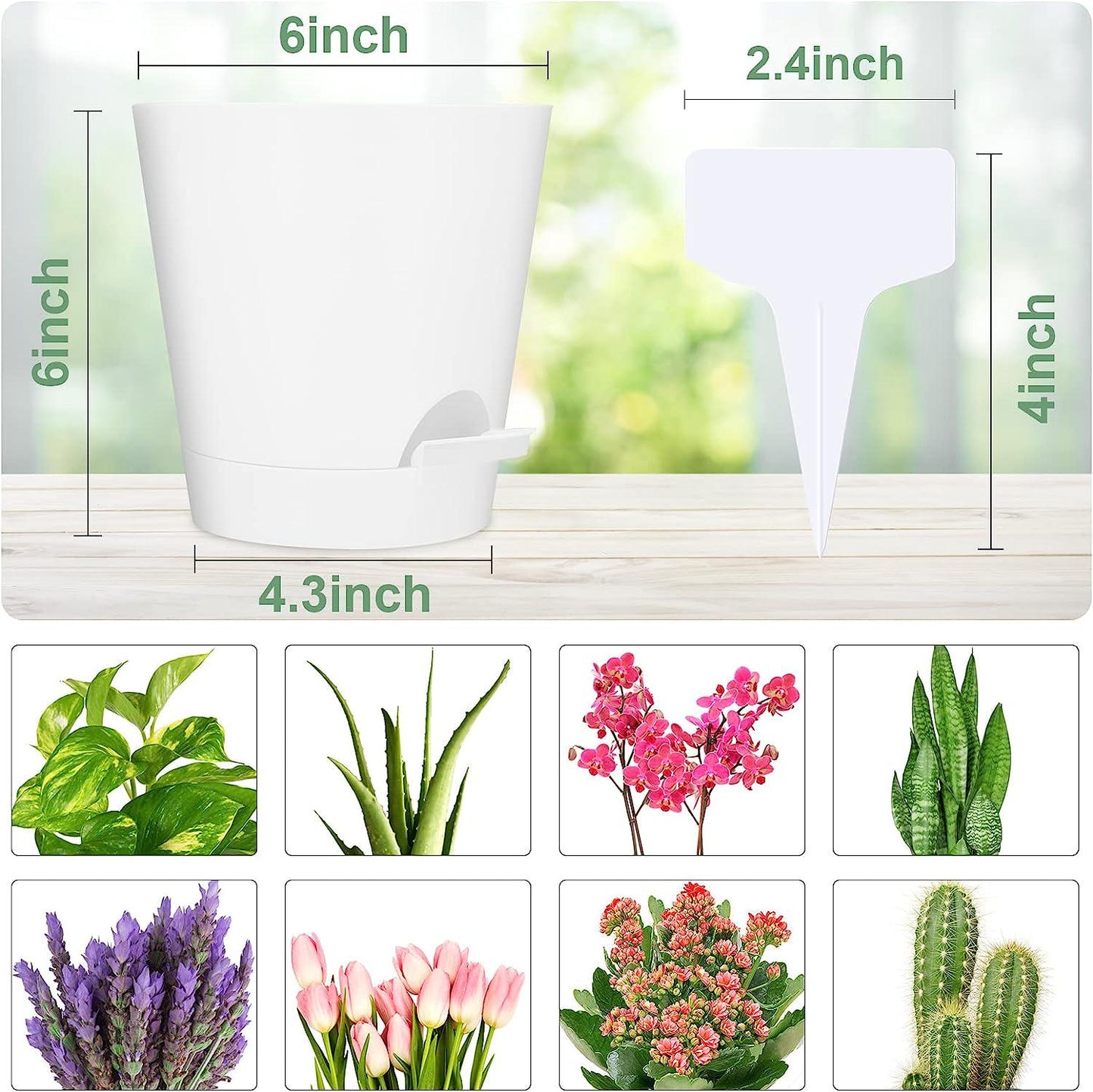 HQMHLCD Plant Pots, 5 Pack 6 Inch Flower Pots Self Watering Plastic Planter with Drainage Hole SaucersÂ for Indoor Outdoor Succulents, Â African Violet Flower Plants (White-6 inch)
