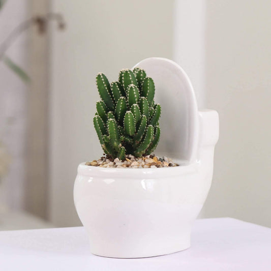 Handmade Ceramic Toilet Succulent Planter-Pots & Planters