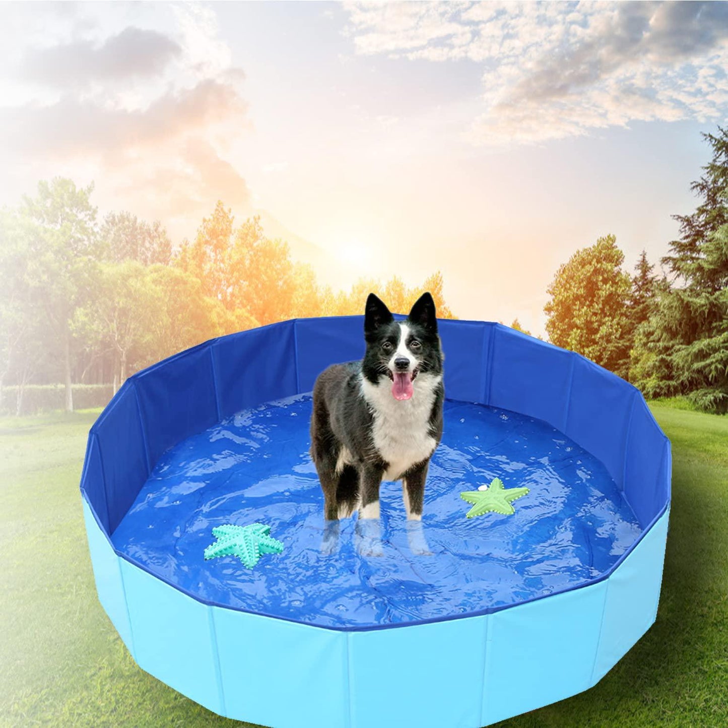 Foldable Pet Dog Kids Swimming Pool(40'' x 12'')