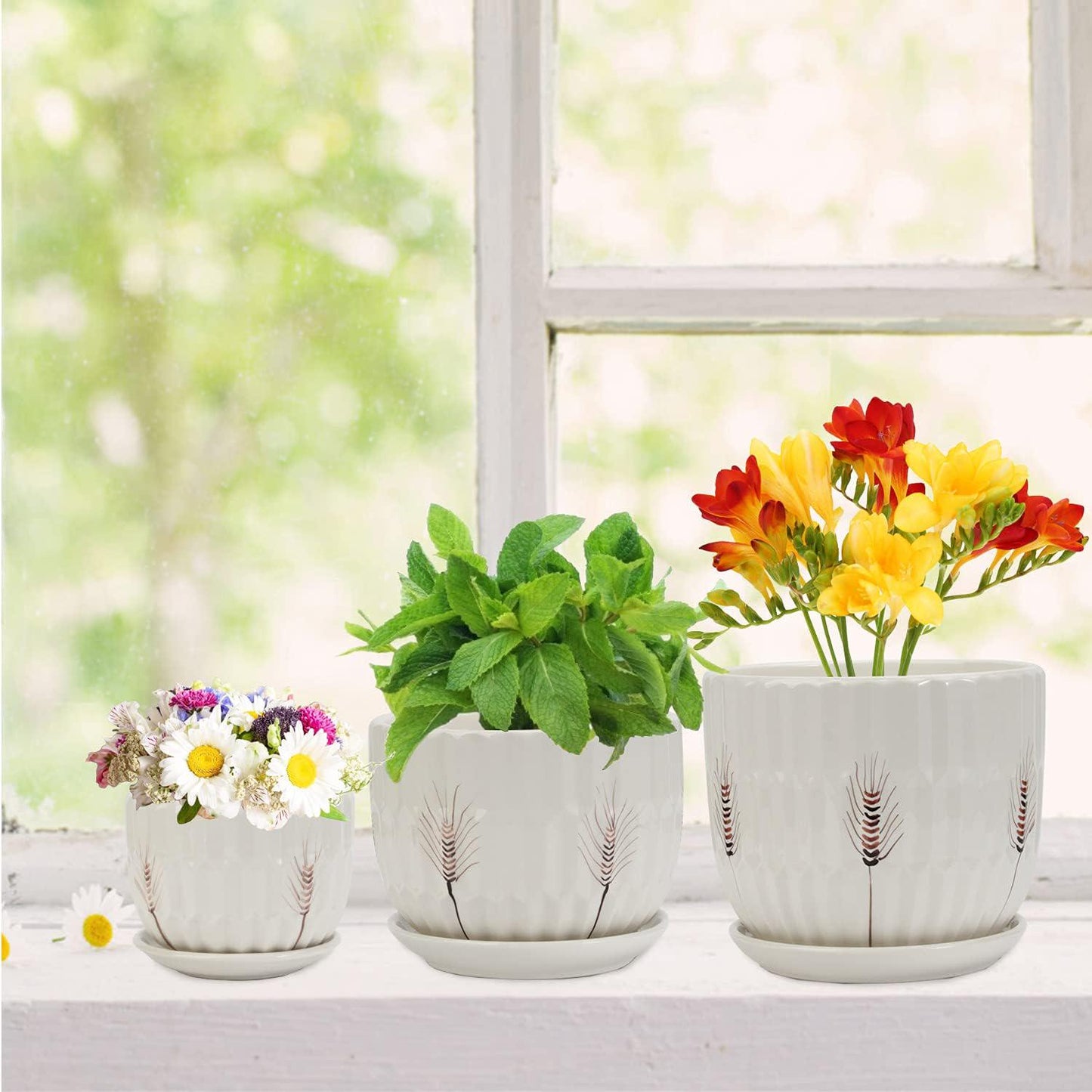 Laerjin Plant Pots 4.17 and 5.62 and 6.88 Flower Pot with Drainage Holes and Saucers, Set of 3 Ceramic Plant Pot with Tray, Outdoor Small to Medium Sized Round Modern Ceramic Garden Flower Pots