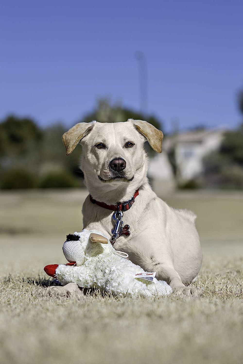 Plush Dog Toy, Lambchop, 10 , White/Tan, Small