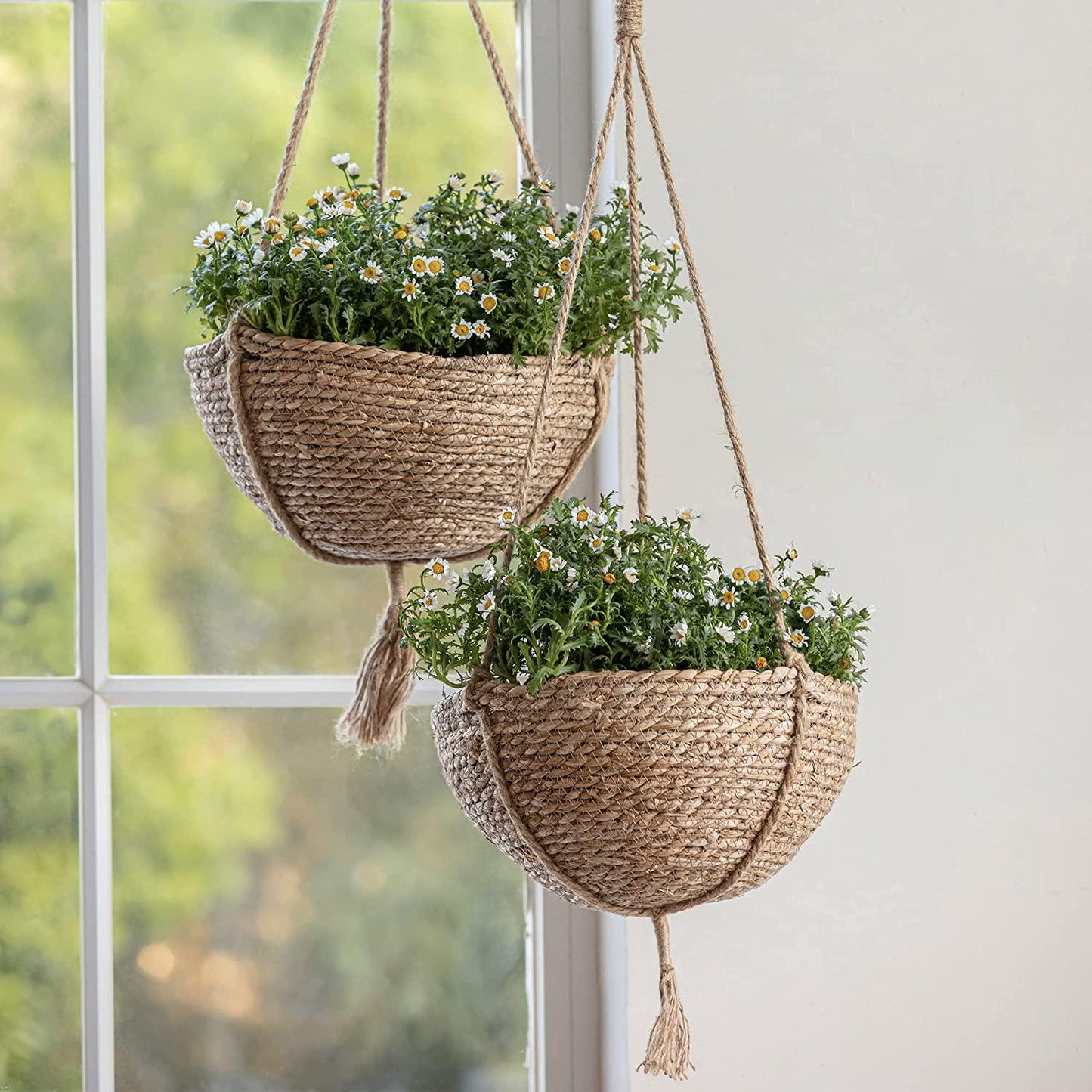 Natural Seagrass Hanging Planter Basket Set, Indoor Plant Pots, Boho Decor Plant Pot Cover, 12.4 (D) 6.3 (H) Inch, Pack 2