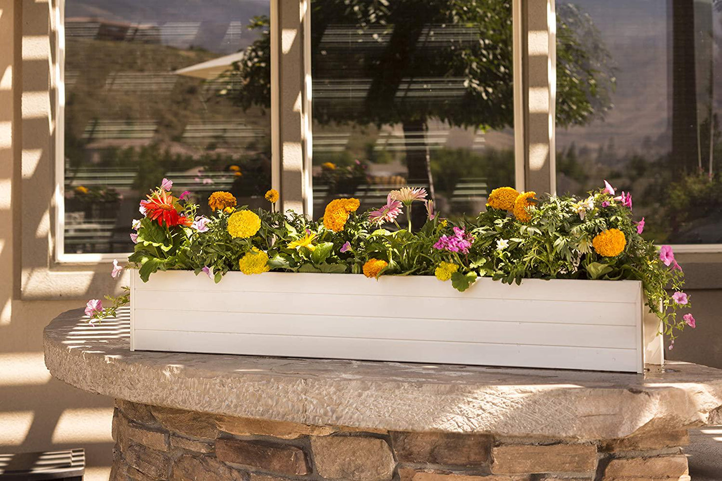 NewAge Garden EPWB103-R48 Window Box, Tan