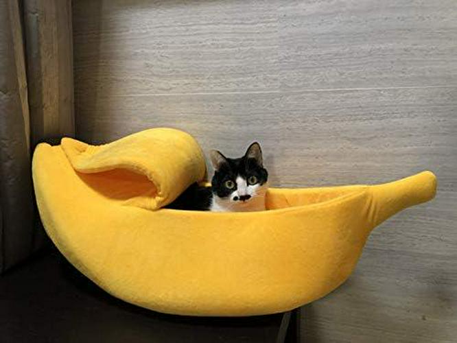 · · Cute Banana Cat Bed House Large Size