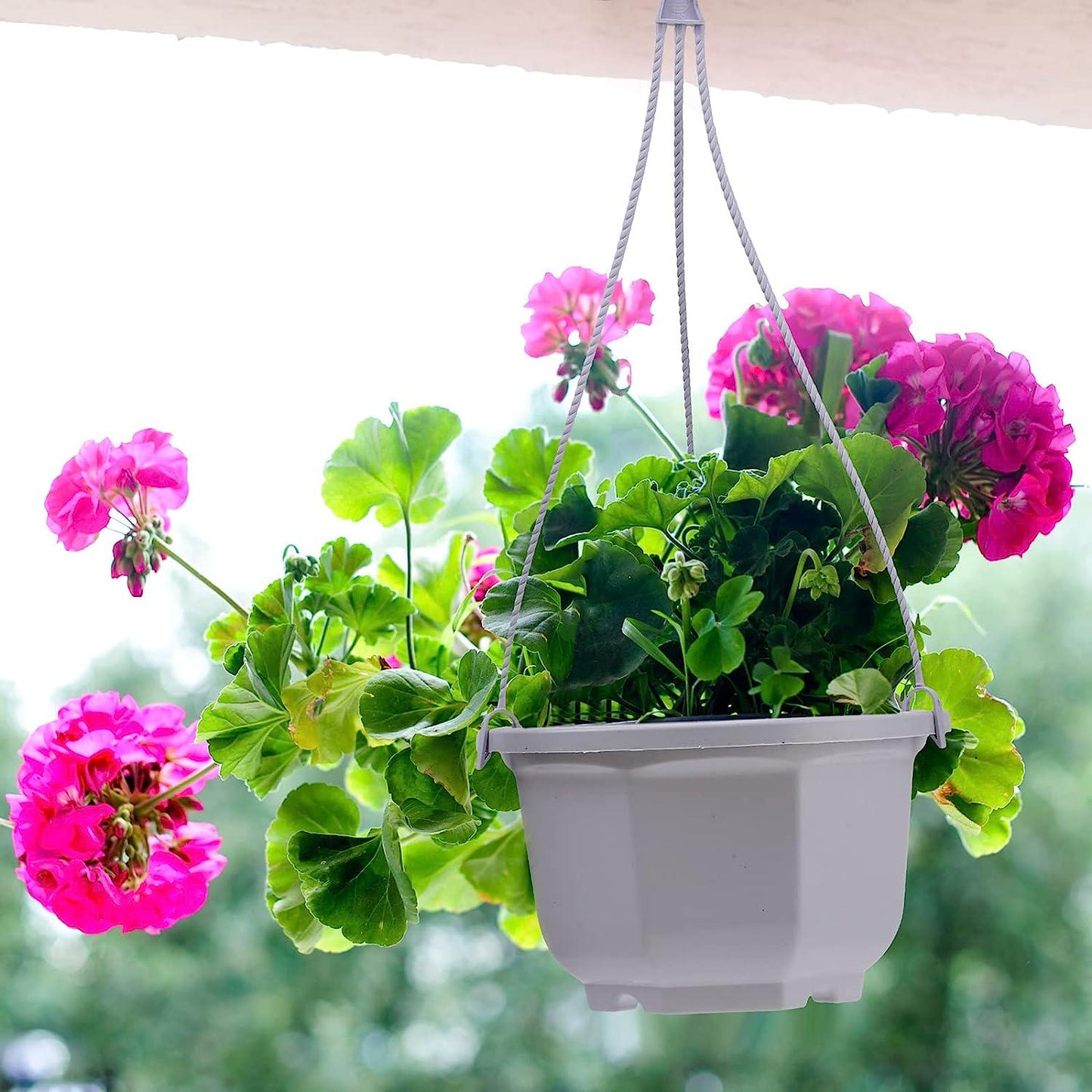 Roshtia 24 Pcs Plastic Hanging Planter Hanging Flower Plant Pots with Hook Hanging Pot for Plants Hanging Plant Basket Chain Basket Planter Holder for Outdoor Indoor Plant and Garden Balcony, White