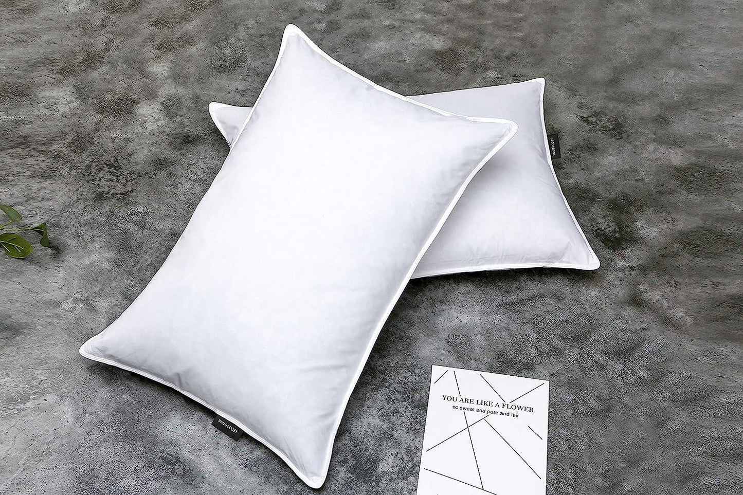 &COZY Grey Goose Feather Down Pillows for Sleeping(2 Pack)- Standard Size(20IN×26IN), Goose Feather&Down Filling, 100% Cotton Cover, 100% Down Proof,
