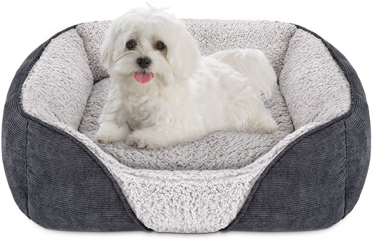 Small Dog Beds for Small Dogs-