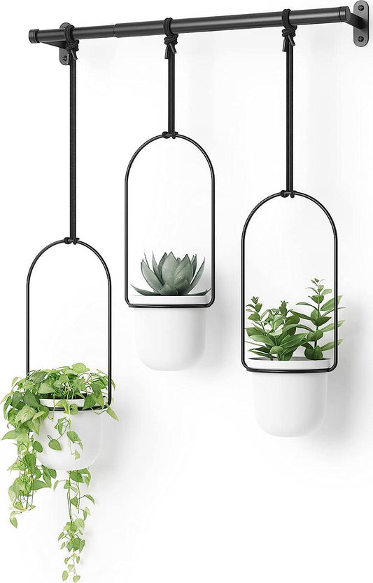 Umbra Triflora Hanging Planter for Window, Indoor Herb Garden, White/Black, Triple-