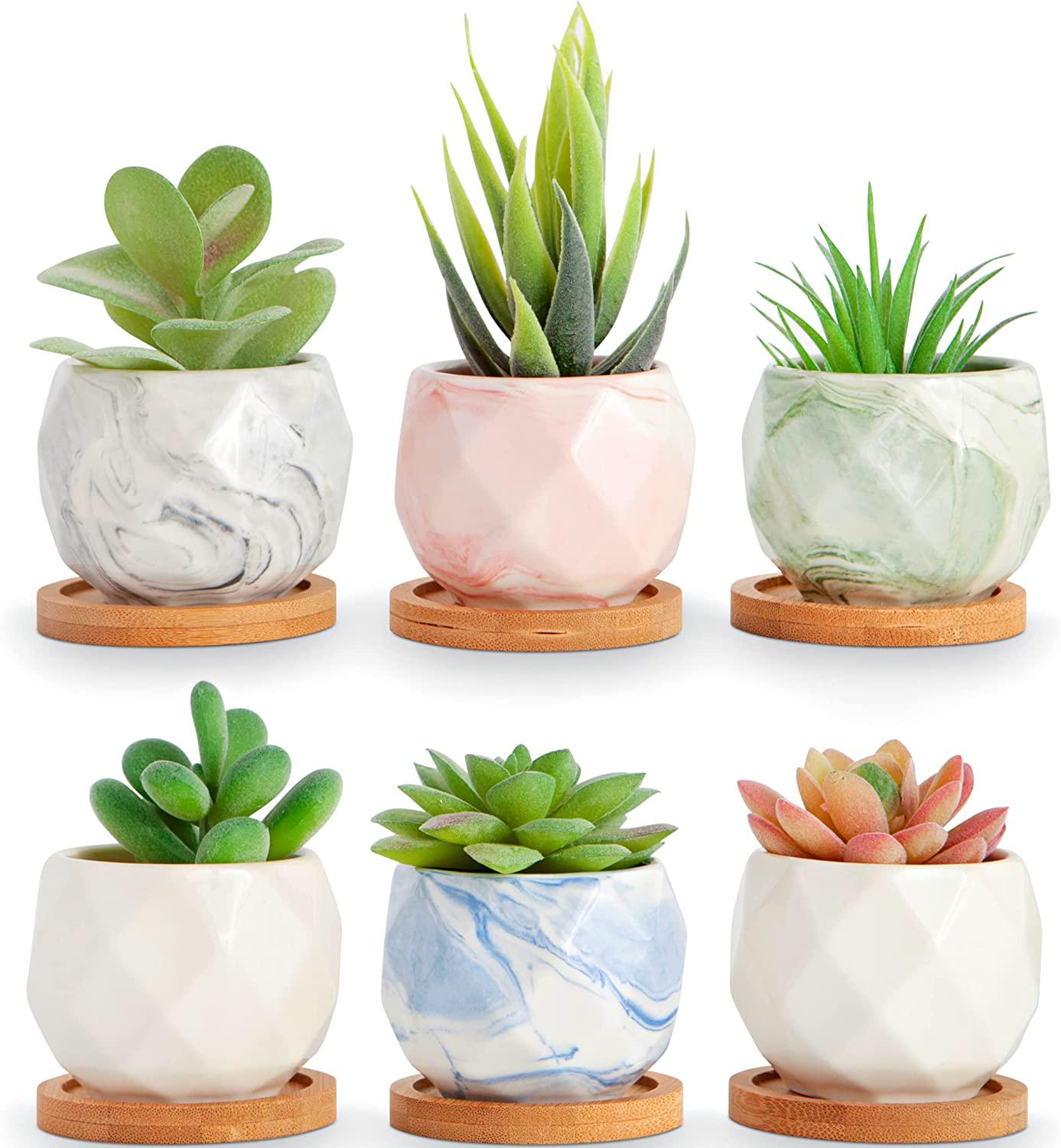 ilohaus Succulent Pots Set of 6, Plant Pots Indoor, Succulent Planters, Small Plant Pots, Cactus Pot, Cute Plant Pots, Small Flower Pots, Small Succulent Pot, Small Planter Set-