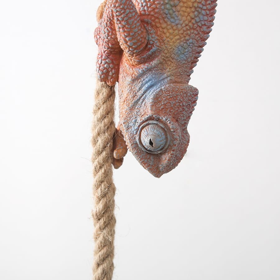 Chameleon Hanging Rope Light