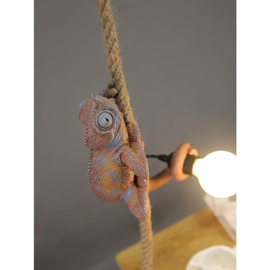 Chameleon Hanging Rope Light