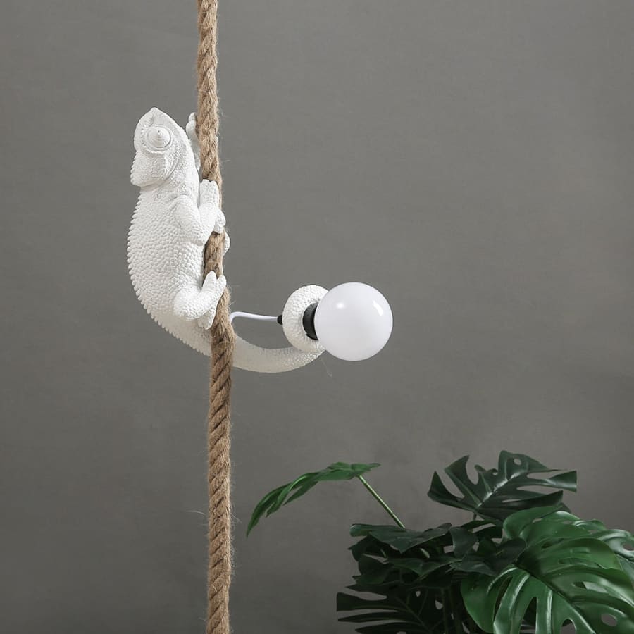 Chameleon Hanging Rope Light