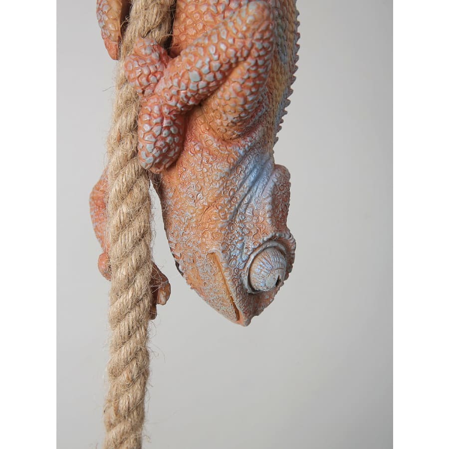 Chameleon Hanging Rope Light