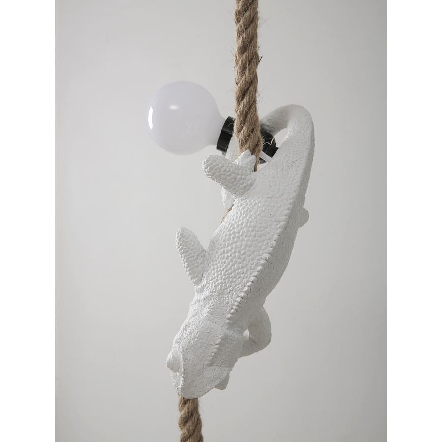 Chameleon Hanging Rope Light