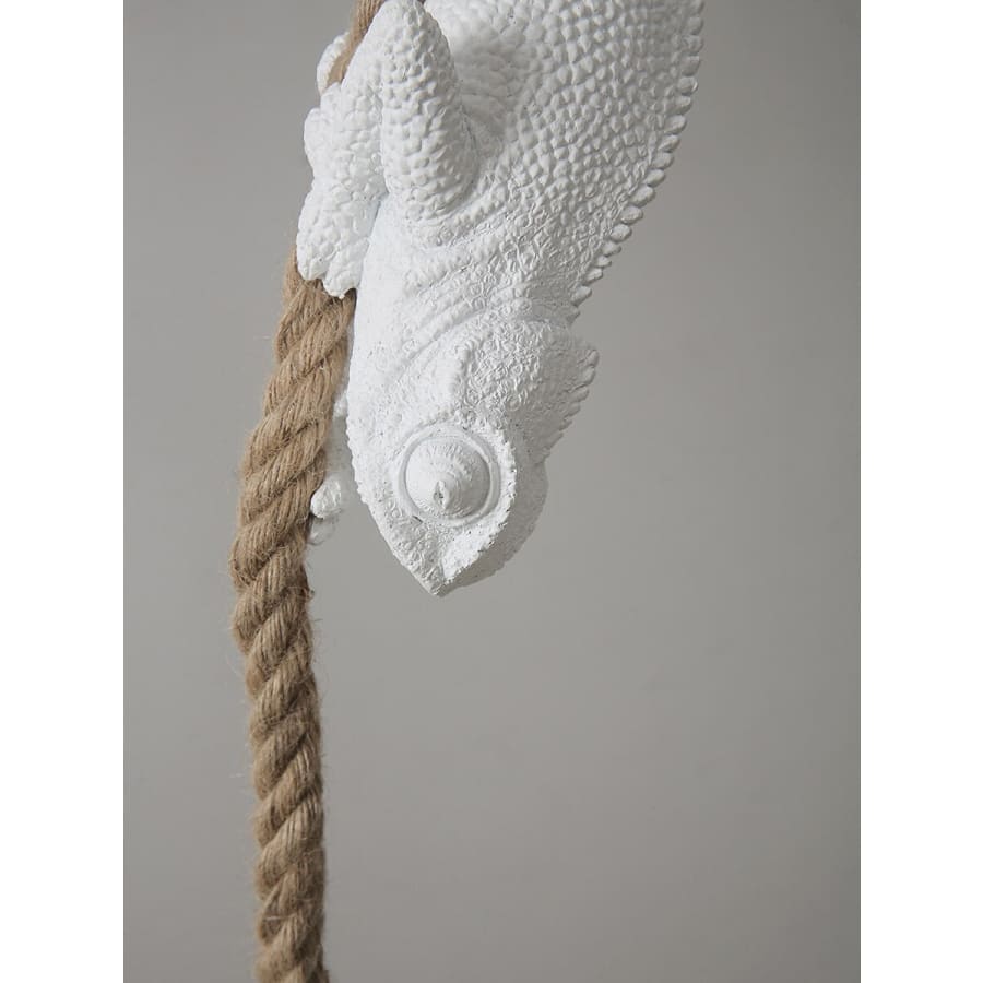 Chameleon Hanging Rope Light