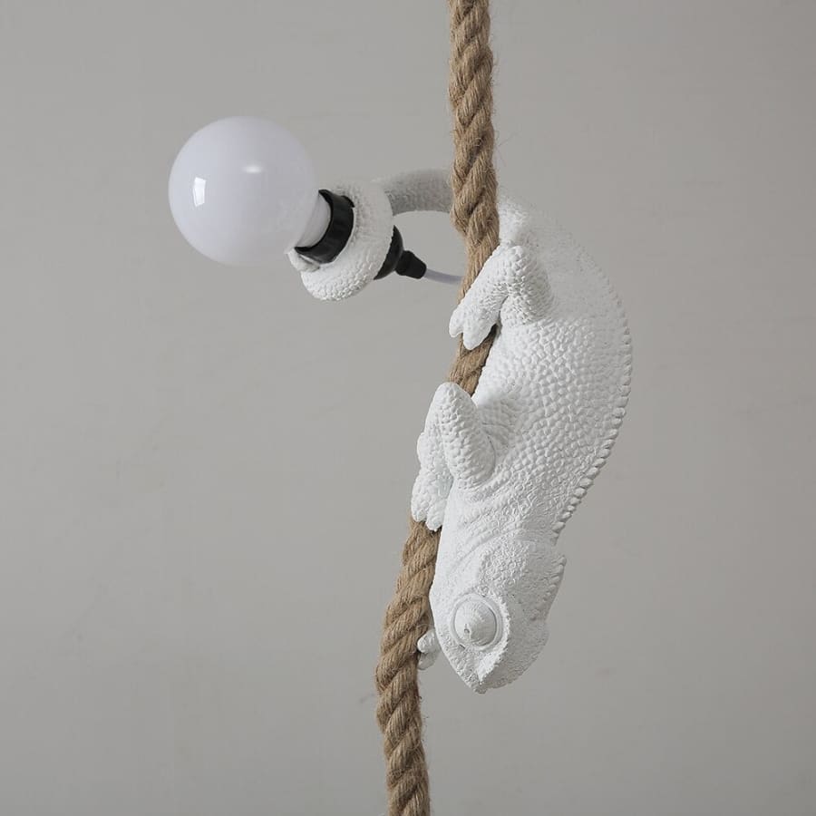 Chameleon Hanging Rope Light