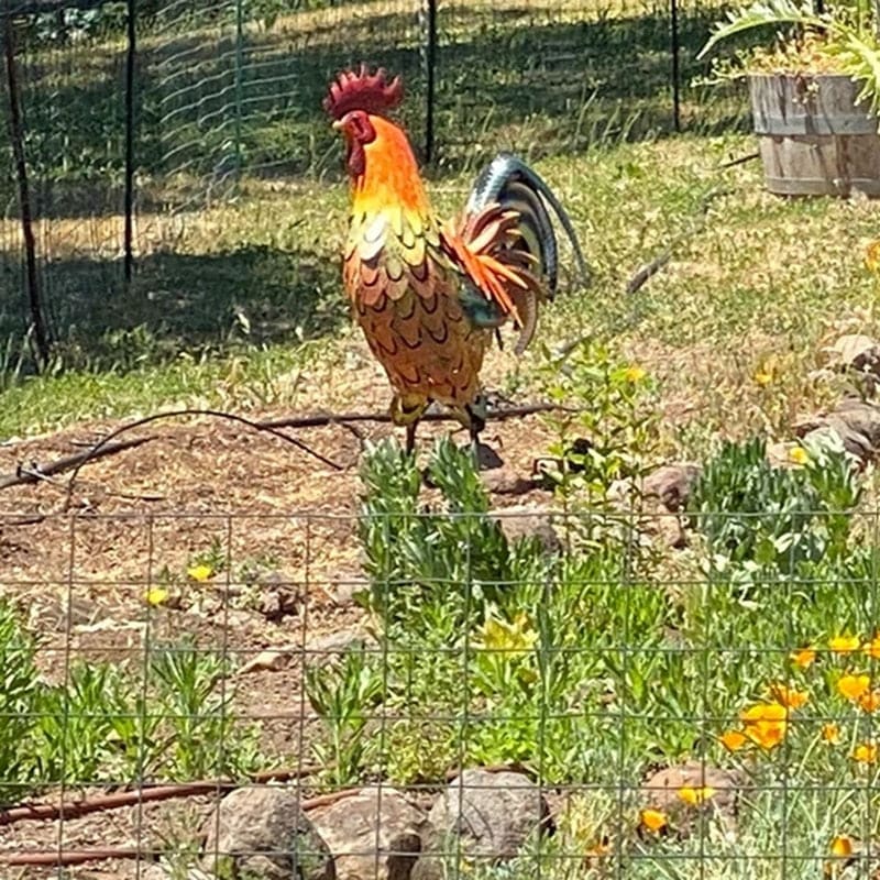 Iron Rooster Garden Sculpture